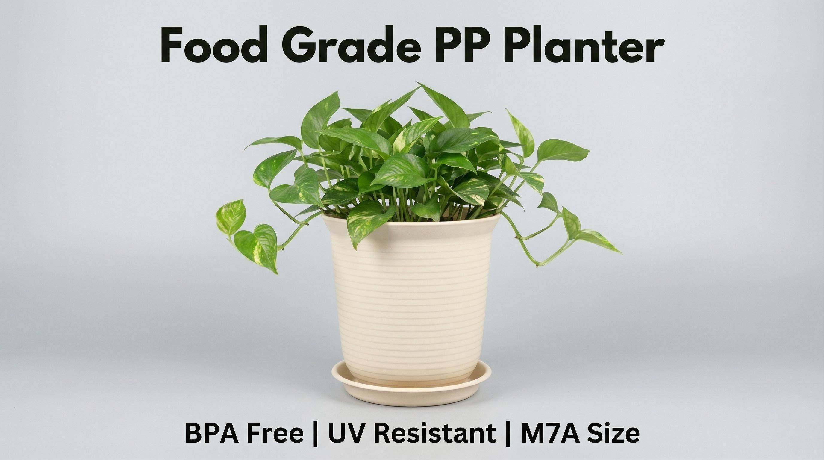 主图：M7A PP花盆全貌展示.jpg