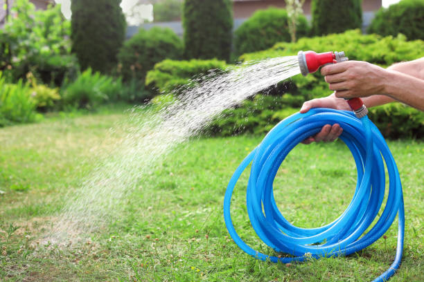 Istockphoto-1481246106-612x612.jpg
